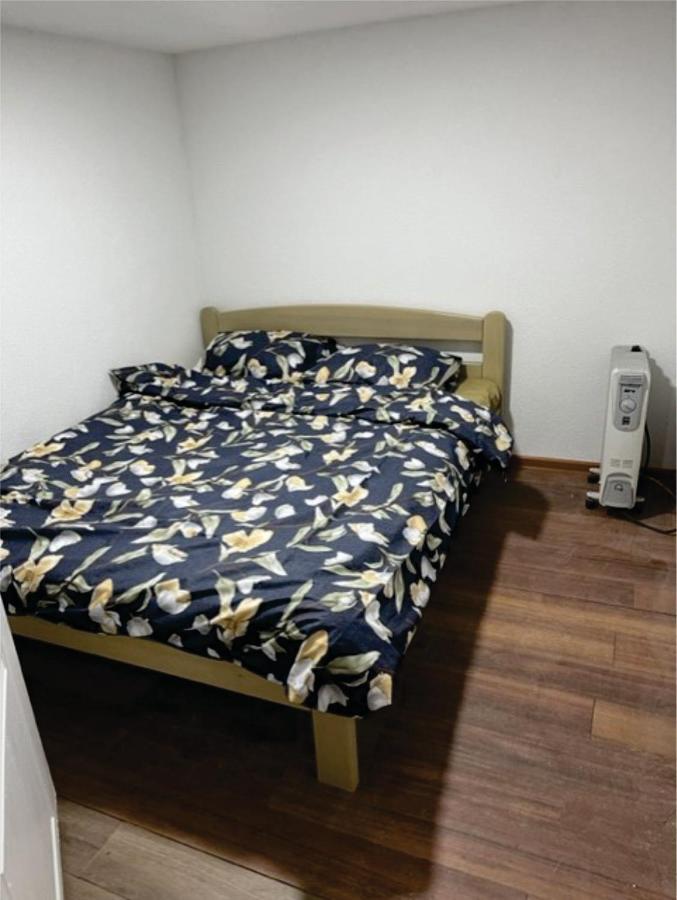 Demo'S Place Gusinje Экстерьер фото